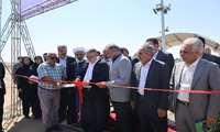 با حضور استاندار تهران؛ فاز نخست نیروگاه خورشیدی ۱۷ مگاواتی شرکت پولاد پویش در رباط‌کریم افتتاح شد 